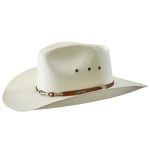 chapeau stetson homme