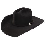 chapeau stetson homme