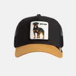 goorin bros casquette